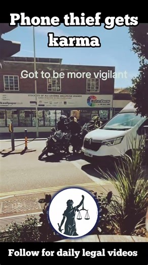 Phone snatcher should have been more vigilant (England)