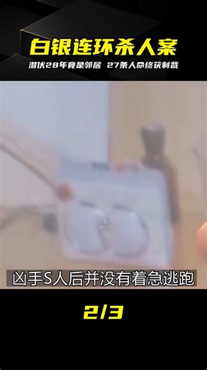 白銀連環殺人案告破 潛伏28年竟是鄰居 #白银连环杀人案 #高承勇 #凶手落网 #悬疑 #真实犯罪 #28年