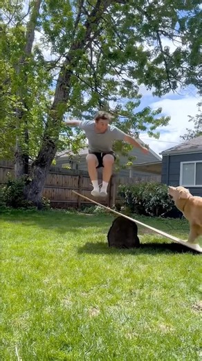 The Woof & Whiskers Club on Instagram: "Dogs really are funny 🤣🤣🤣😂😂😍 #dogs #instagram #lol #viral"