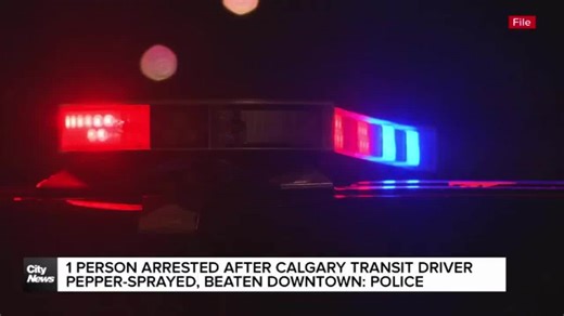 1 person arrested after Calgary Transit driver pepper-sprayed, beaten downtown: police