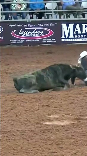 You've NEVER Seen Steer Wrestling This Fast!