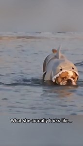 1M views · 19K reactions | Expectation VS reality  | Kingmajesty_and_princessrose | Facebook