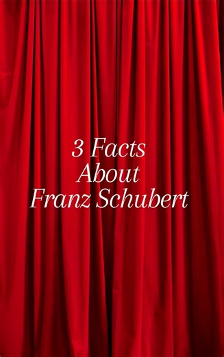 3 Facts About Schubert You Didn’t Know 🎼 | The Composer of Quiet Genius