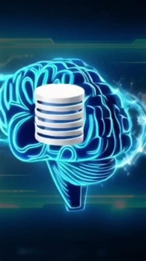 El Cerebro de Esta App 🤯