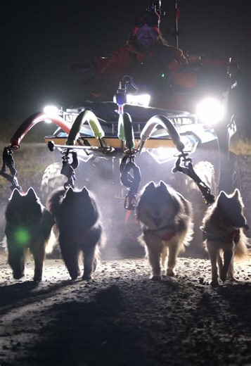 WooFDriver at Night! Mushing at night isn’t uncommon for sled dog teams with many positive aspects!