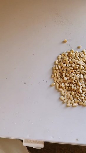Understanding Grits from Ground Up Corn: A Detailed Explanation