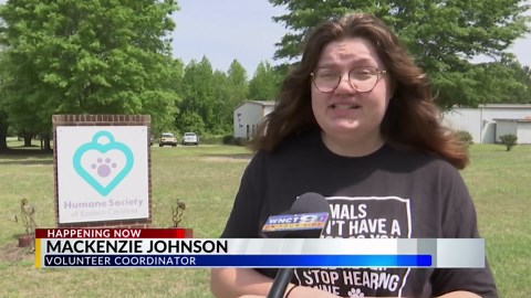 Local non-profits celebrate National Volunteer week