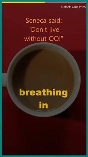 Seneca's Wisdom for a Fulfilling Second Life: Finding True Contentment
