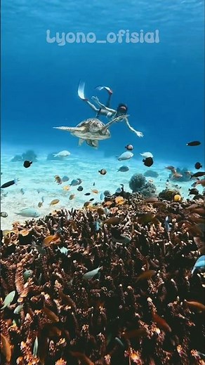 Negara yang Jarang Dibahas, Tapi Keindahannya KETERLALUAN #ceritaunik #faktaunik #travel #facts