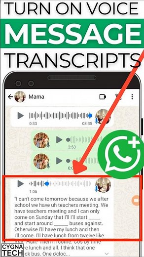🎙️ How to Transcribe Audio Messages to Text in WhatsApp Business (Turn On Voice Transcripts)