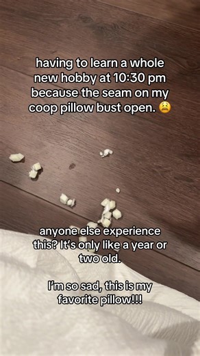 Repairing My Favorite Coop Pillow: A New Hobby