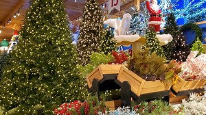 223K views · 7.8K reactions | Tree-mendous Christmas spirit awaits you at Bronner's CHRISTmas Wonderland, the World's Largest Christmas Store, in Frankenmuth, Michigan's Little Bavaria! Select from pre-lit and un-lit Christmas trees, wreaths, swags and garlands. Bronner's has all the trims for your tree, including about 8,000 styles of ornaments, many which can be personalized at no charge. | Bronner's CHRISTmas Wonderland | Facebook
