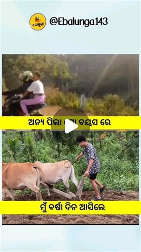 ଏ ବାଳୁଙ୍ଗା | ଅନ୍ୟ ପିଲା ❌ ମୁଁ 🙂🙂 . . . . . #reels #reelsinstagram #reelsvideo #reelsindia #odia #odiareels #odiamuser #odiastatus #odiacomedy #odiavideo... | Instagram