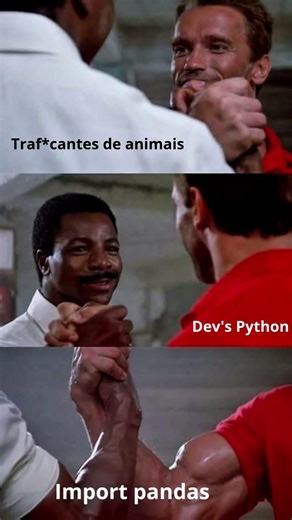🤨 #python#pandas #programação #programador #code