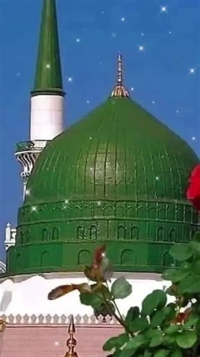 Mohammad Rafi Mohammad Rafi (@mohammadrafiq898)’s videos with original sound - Malik