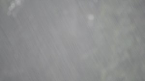 Download Heavy raining day Background for free