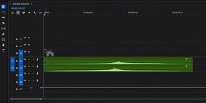 Converting stereo tracks to dual mono in Premiere Pro