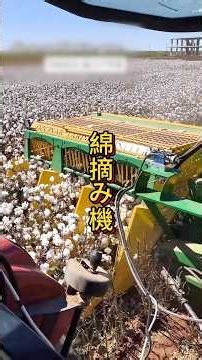 現代の綿花収穫プロセス：摘み取り、不純物除去、圧縮、梱包まで すべて完全に自動化されています。# 綿コンバイン #綿収穫 #農業機械 #農業雑学 #機械収穫 #畑機械