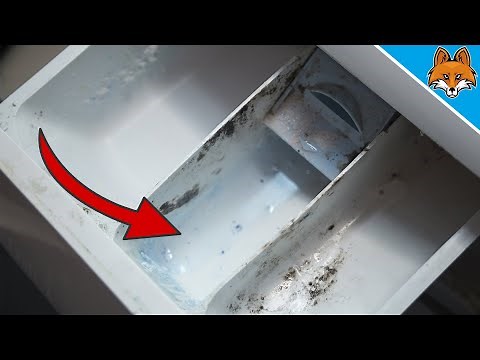 SO easy you can clean the Washing Machine Drawer 💥