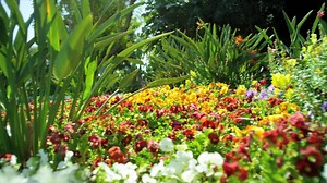 64K views · 301 reactions | Escape to La Quinta Resort & Club, A Waldorf Astoria Resort for a one-of-a-kind spa experience 淪 | Visit Greater Palm Springs | Facebook