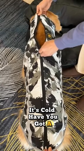 Paw Essential 🐶 on Instagram: "❄️ Warm walks, happy tails. This dog winter jacket keeps your pup snug and stylish through chilly days and frosty adventures. Soft, windproof, and made for comfort — because every good boy deserves to stay cozy all winter long. 🐾🧥 Because warmth looks good on every dog. #DogWinterJacket #WinterDogCoat #CozyForDogs #DogWinterOutfit #PetWinterGear #WarmDogWear #DogFashion #ColdWeatherDogs #DogMomEssentials #DogDadApproved #PetCareWinter #DogApparel #StylishPup #Wi