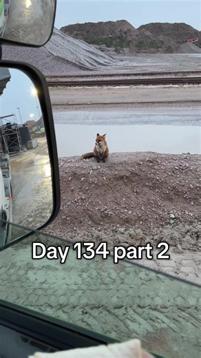 Heartfelt Message About a Fox
