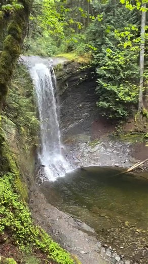 Ammonite Falls is stunning year-round, but when rainy season hits? It transforms into a full-on rainforest dream. 🌧️✨ Just a short drive from downtown Nanaimo, the 3km trail takes you deep into a world of moss-draped trees, lush green ferns, misty bridges, and hidden waterfalls waiting around the bend. 🌲💦 It’s the kind of place where every step feels like a little discovery. If you’ve got a couple of hours, this trail is worth lacing up the hikers for, or better yet, pull on those rubber boot