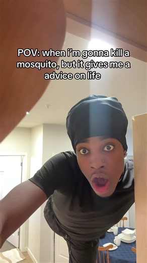Ok mosquito #trending | mosquito