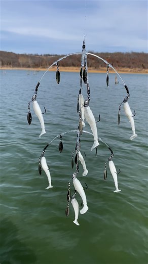 Tornado Innovation on Instagram: "Fall fishing is here. The Clear Umbrella Rig(CUR) double decker is always in the line up #Bassfishing #striperfishing #largemouthbass #largemouthbassfishing #smallmouthbass #smallmouthbassfishing #bigbassdreams #swimbaituniverse #kayakfishing #fishinglifestyle #fishingislife #catchandrelease #catchmorefish #fishingaddict #fishingdaily #fishingtime #fishinglifestyle #swimbaits #umbrellarig #clearumbrellarig #alabamarig #basslures #lurefishing #daiwa #shimano #stc