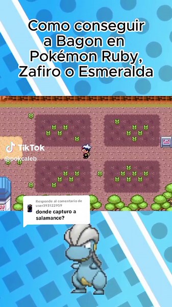 Captura de Bagon en Pokémon Ruby, Zafiro o Esmeralda