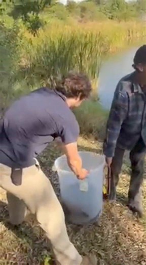 1.6K views · 35 reactions | Check out this amazing video. Python release at Bonamanzi Game Reserve on the KZN North Coast. For more information call 083 634 0895. #KZN #GameReserve #zululand #WildlifeSolutions #Northcoast #wildlifephotographer #snake #Hluhluwe #wildanimals #photography | Bonamanzi Game Reserve | Facebook