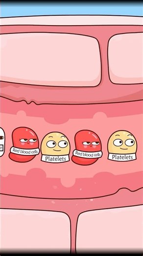 How does a blood scab form?#shorts