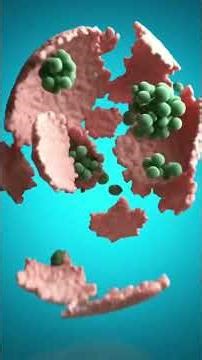 It’s a Fungus Eating Your Scalp 🧠 - Dandruff Isn’t Dry Skin