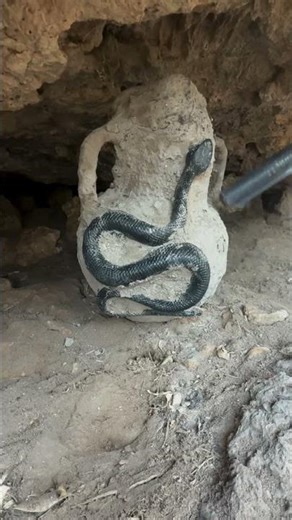 Unlocking Ancient Secrets: The Hunt for Treasures #shorts #treasurehunting #metal detecting 🏺