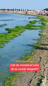 12K views · 10K reactions | Se poate împiedica acumularea acelor alge? #mare #alge #fyp #plaja #constanta #pret #bani | Catalin PacPac | Facebook