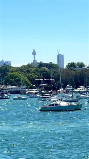 Experience Summer in Sydney: A Guide to the Best Spots
