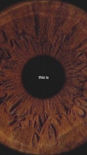 What Part of Nature Matches Your Eyes? | Prismatic Planet Oasis