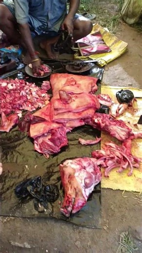 Pig Cutting 🐖🐖🐖🐖 #youtubeshorts #shortvideo #shorts
