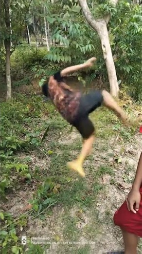 Fly