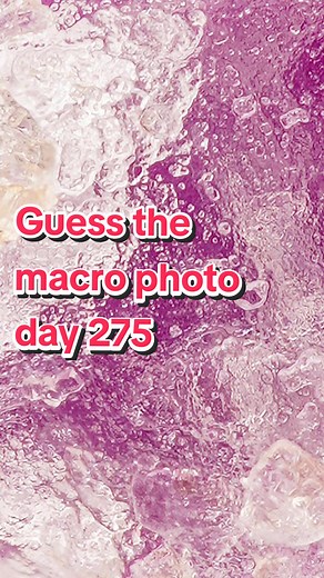 Jake's Macro Nature on TikTok