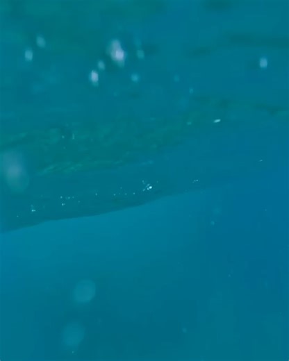 Jetty on Reels | Facebook