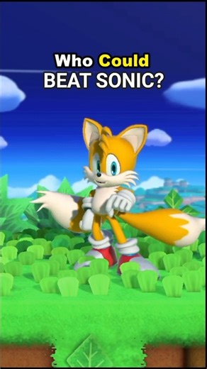 Who Can Outrun Sonic With Bunny Hood? (FINAL)