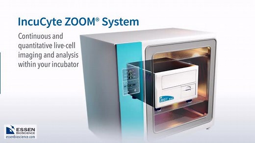 IncuCyte ZOOM长时间动态活细胞观察系统