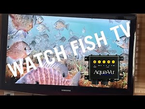 Connect your Aqua-Vu Underwater Camera to your Fish House TV!