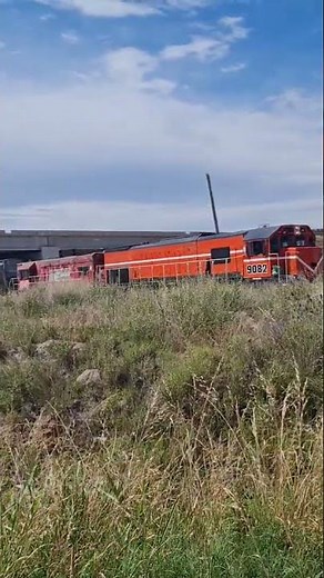 tren de carga Bahía blanca