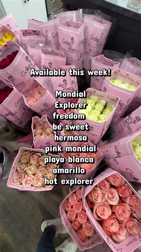 Colorado wholesaler🌹 insta:ga.florals💗 📲:720-453-7796 #wholesaler #colorado #wholesaleroses #coloradoflorist #coloradowholesaler