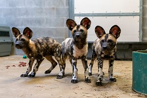 35K views · 1.5K reactions | We're so excited to finally introduce...