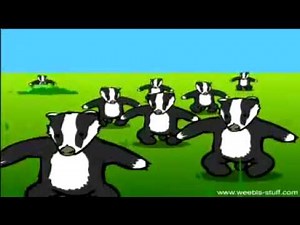 Badgers Badger badger badger badger Mushroom mushroom