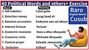 40 Political Words Exercise || English To Somali. | Waaya Arag Academy
