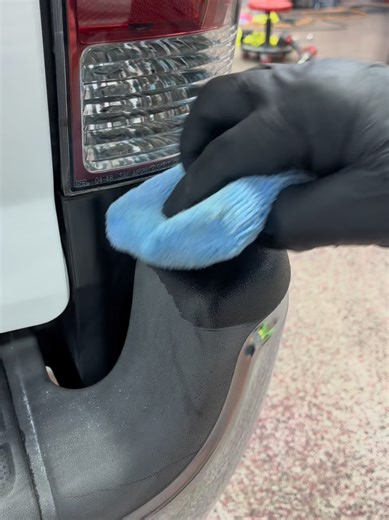 Trim Coat: Long-lasting Plastic Trim Restorer